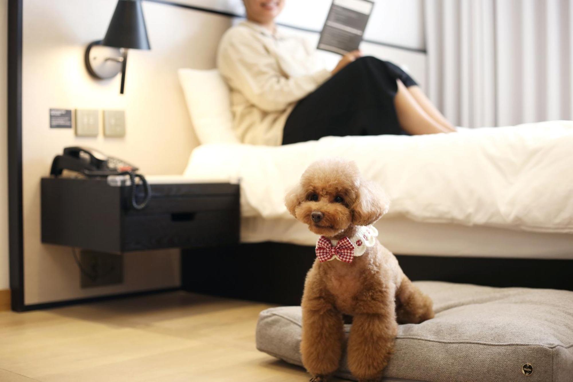 Maison Glad Jeju Luaran gambar
